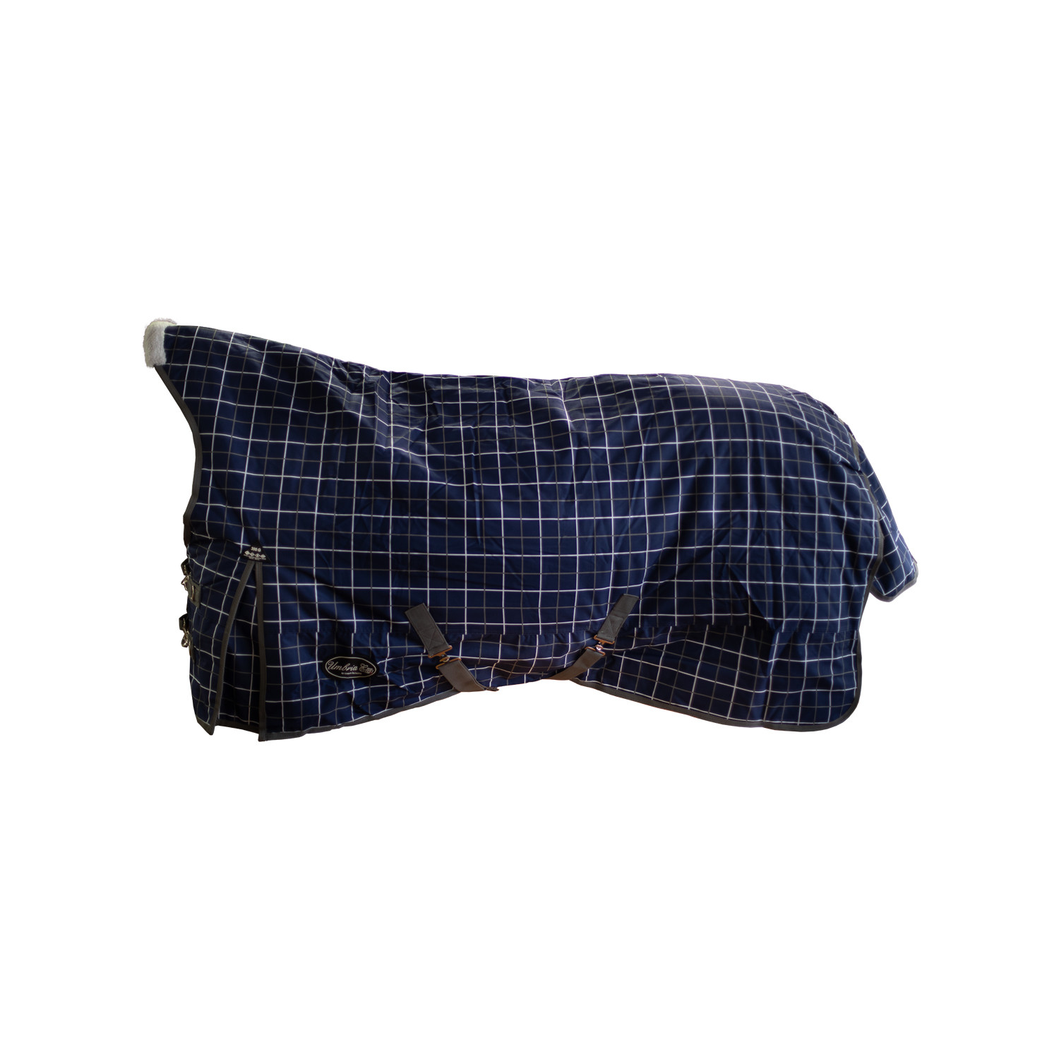 Paddockdecke/Ausreitdecke Aberdeen 300g
