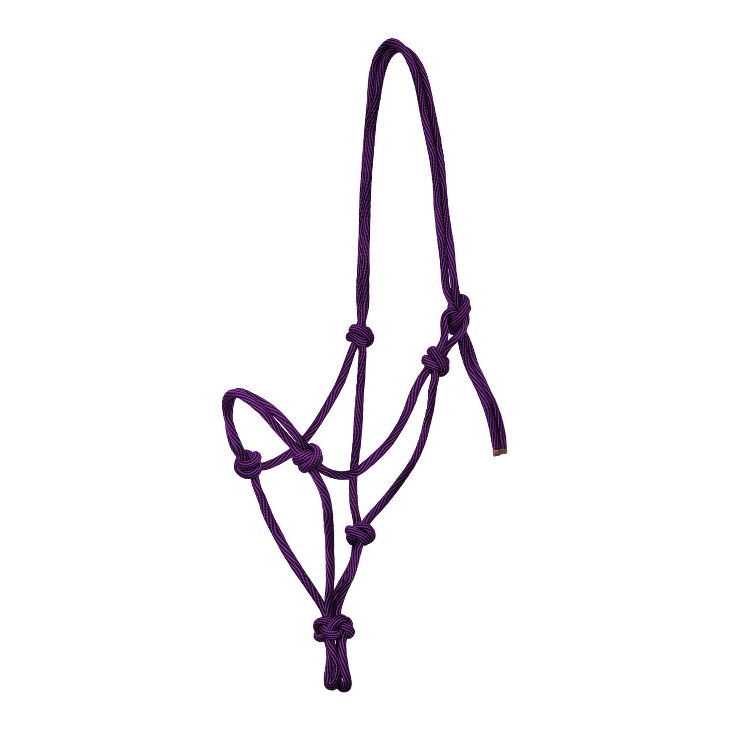 PURPLE / BLACK