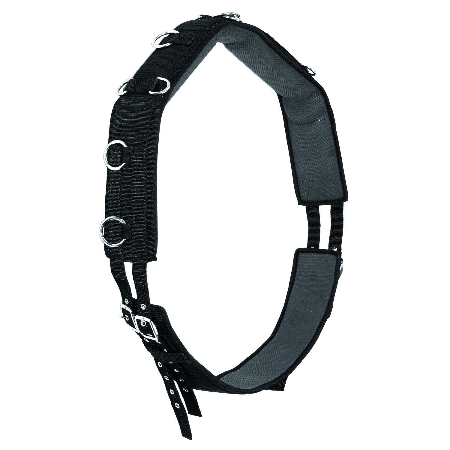 Longiergurt mit D-Ringen