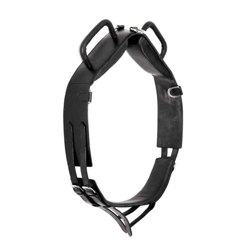 Voltigiergurt aus weichem Leder mit Griffen und D-Ringen
