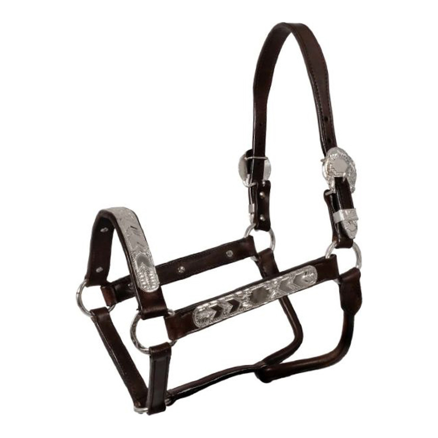 Western Pools Lederhalfter mit Silber