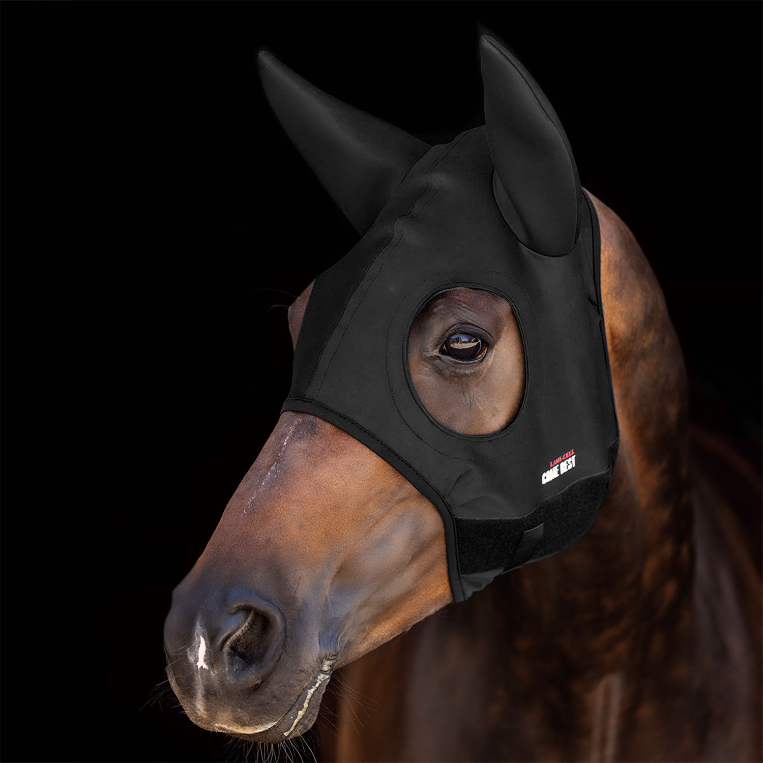 Titan-Maske mit Ohren zur Konzentrationsförderung
