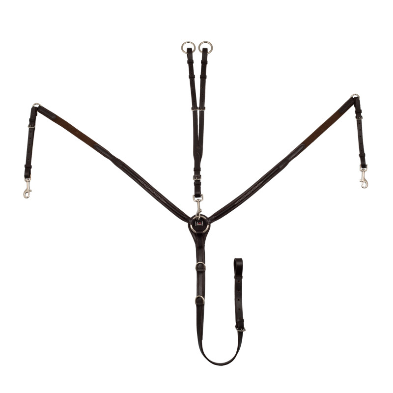 Anatomisches Leder-Vorderzeug  mit Martingal
