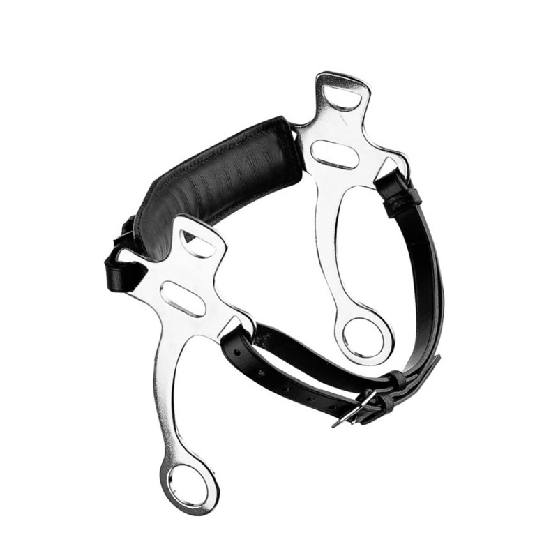 Hackamore schwarz