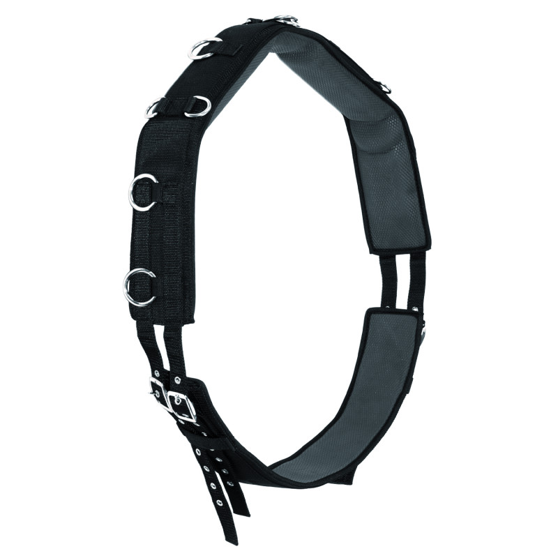 Longiergurt mit D-Ringen