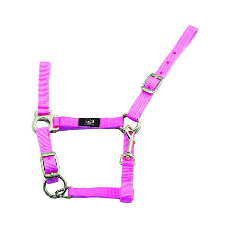 Fohlenhalfter aus Nylon mit Karabinerhaken