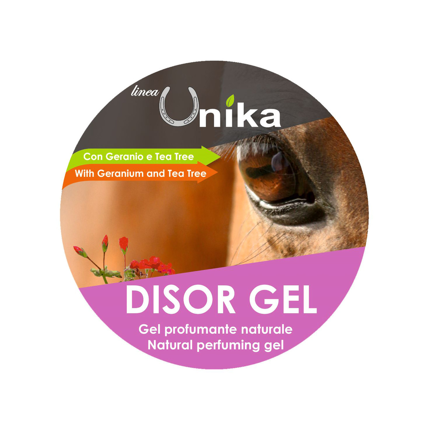 Pferdepflege Wellness & Genesung