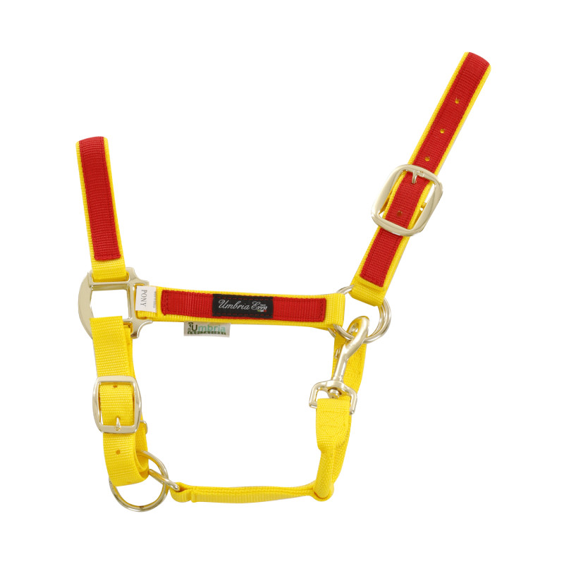 YELLOW / RED