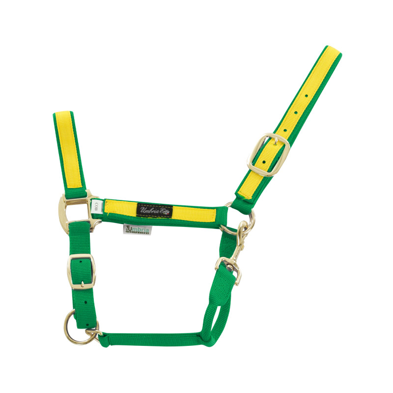 GREEN / YELLOW