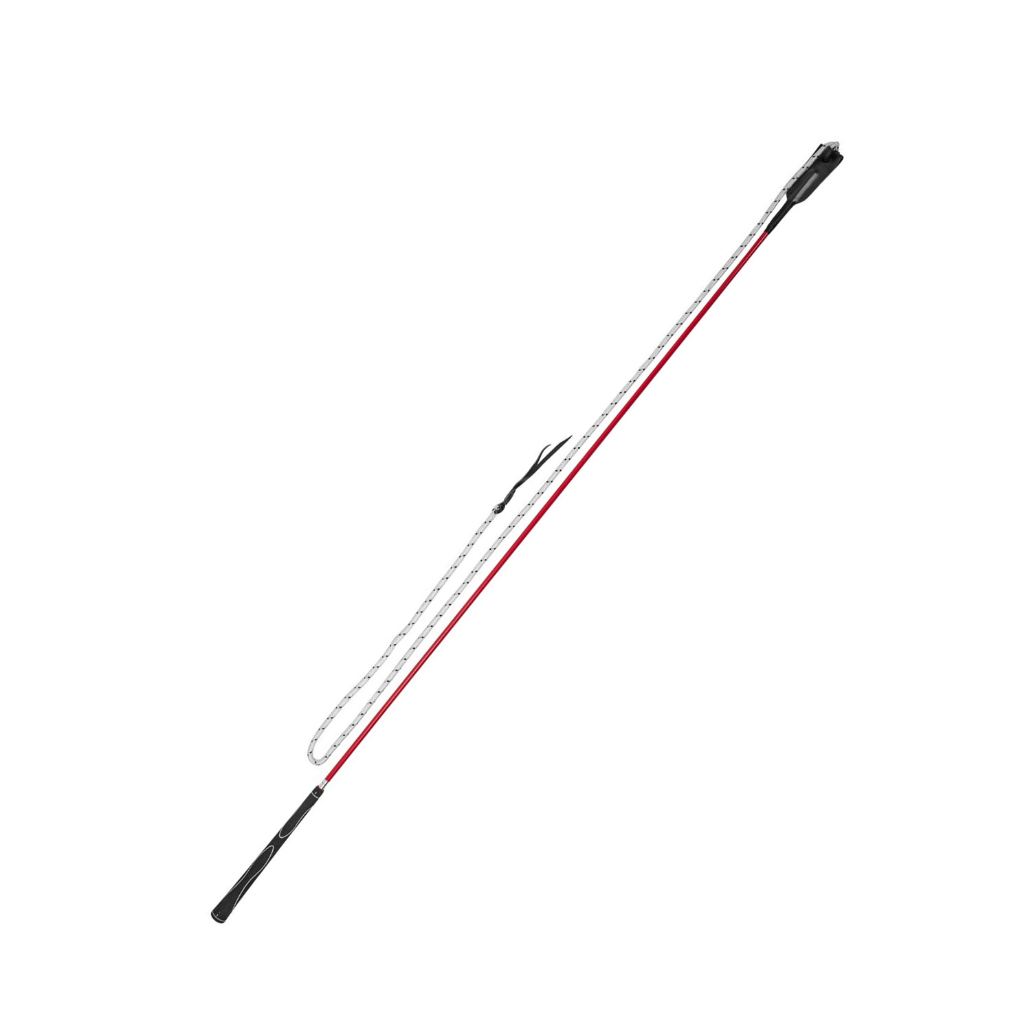 Peitsche mit Lederkappe